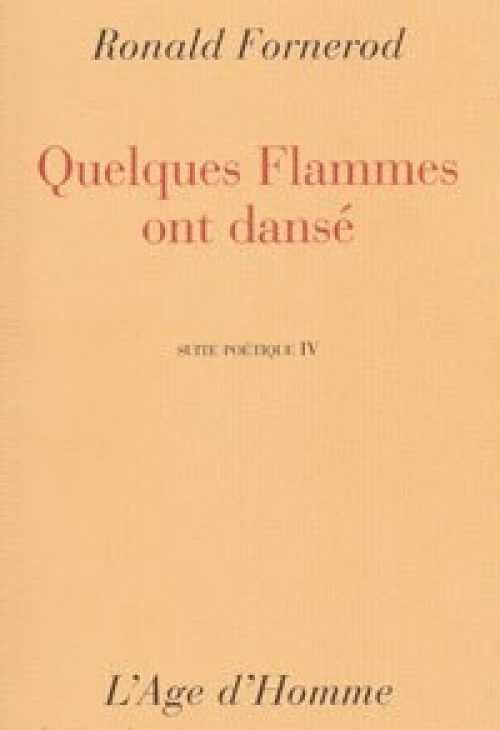 Quelques flammes ont dansé