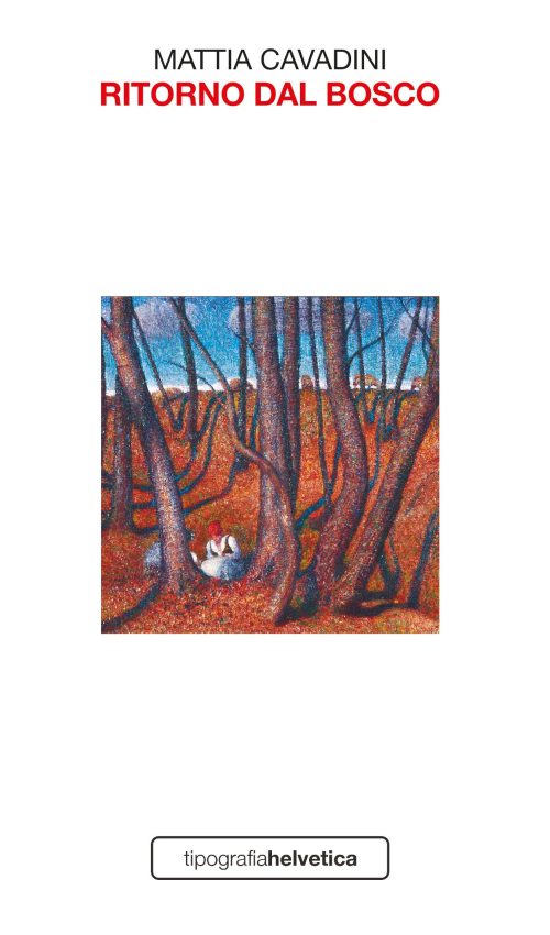 Ritorno dal bosco