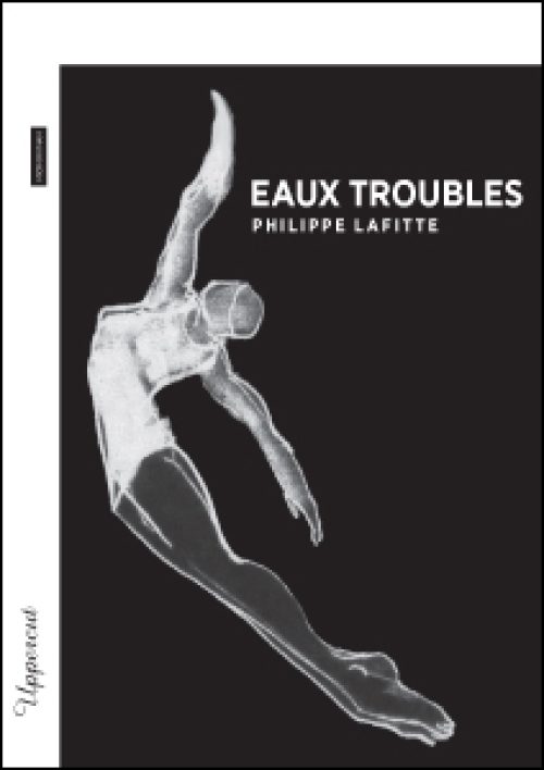 Eaux troubles