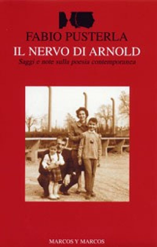 Il nervo di Arnold