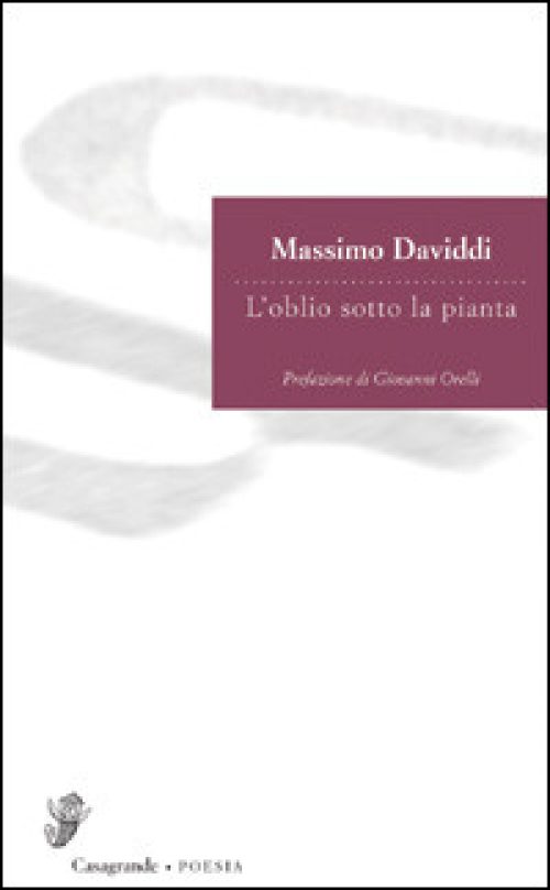 L'oblio sotto la pianta