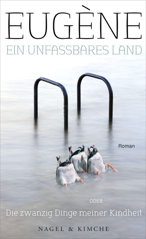 Ein unfassbares Land oder Die zwanzig Dinge meiner Kindheit [La Vallée de la Jeunesse]